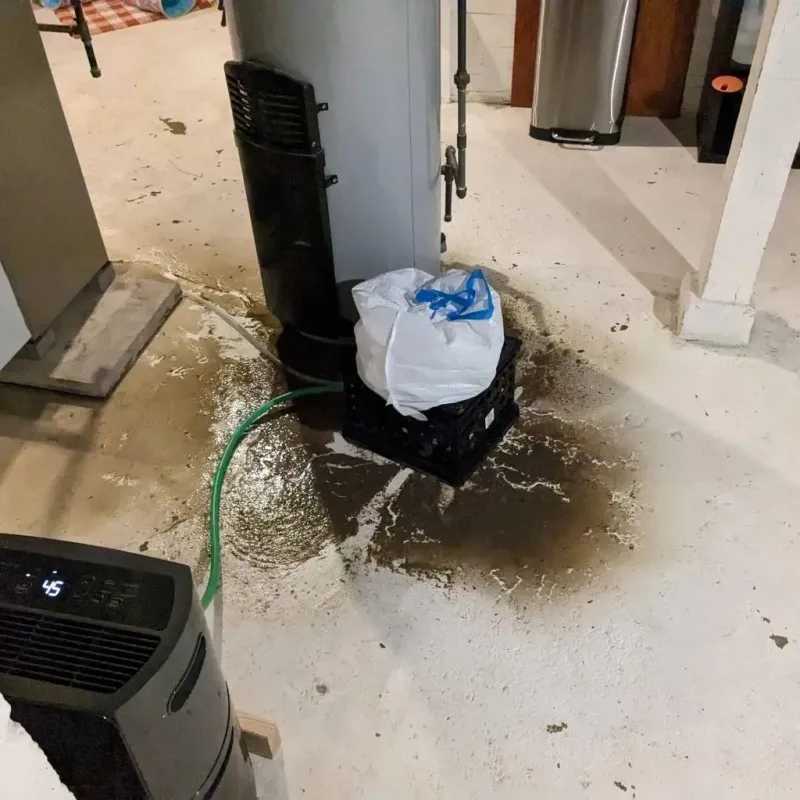 Sewage Backup Cleanup Service in Dudley, MA